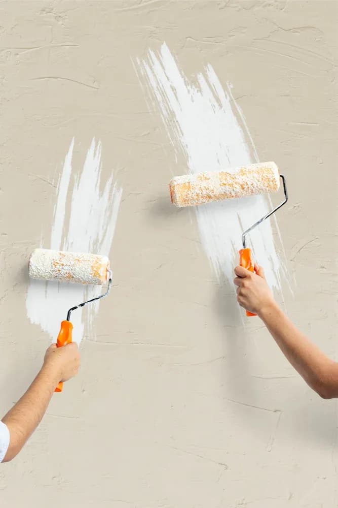 Application de peinture blanche au rouleau